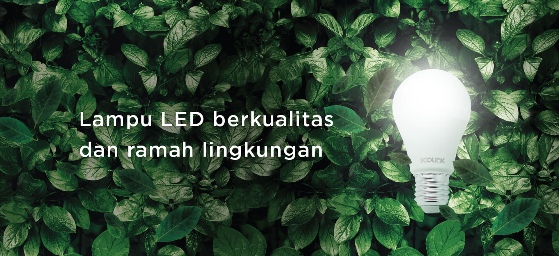 Lampu LED berkualitas dan ramah lingkungan